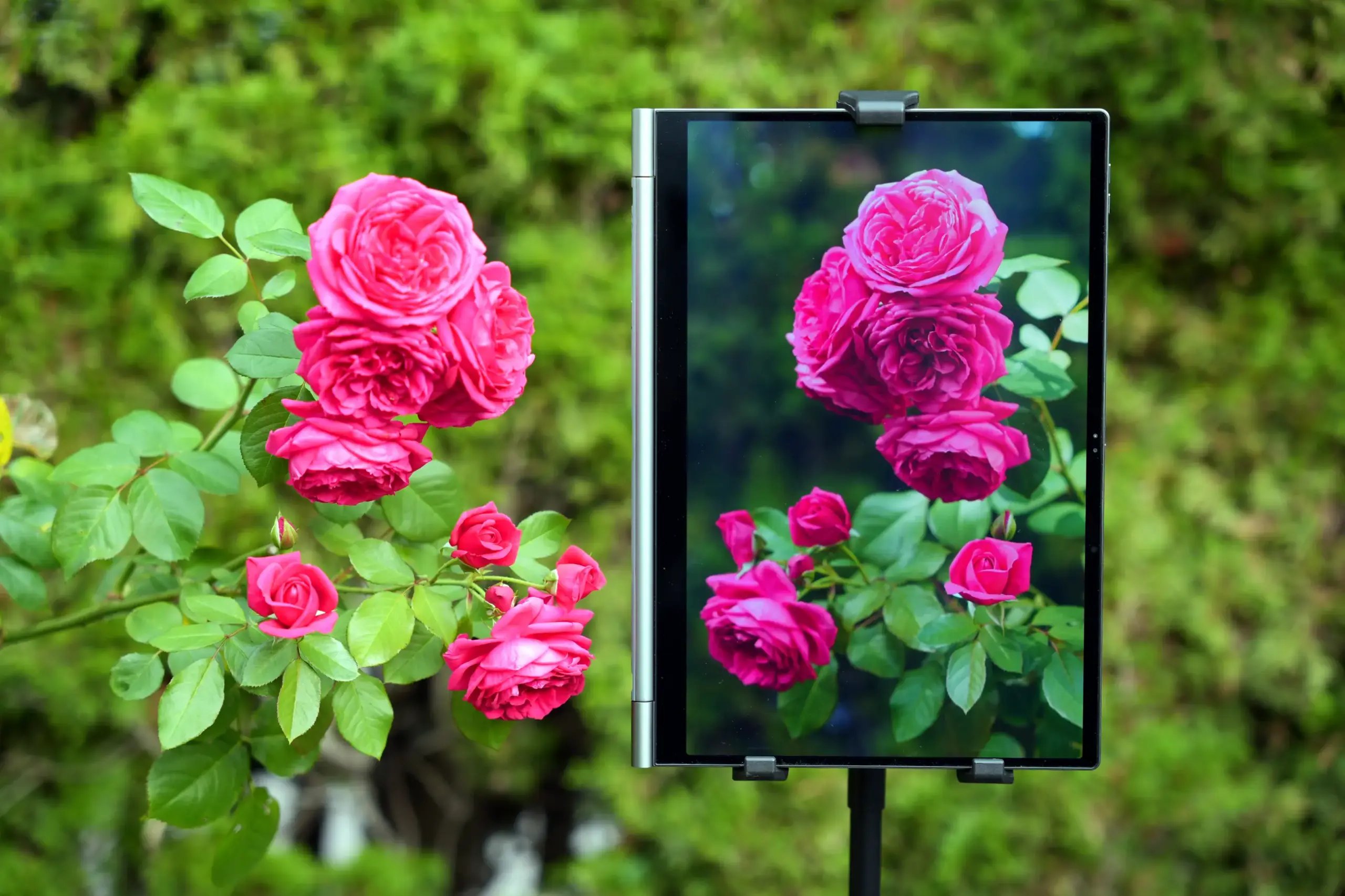 Lenovo Thinkbook Plus G5 Hybrid (Large 14-inch Tablet), with roses